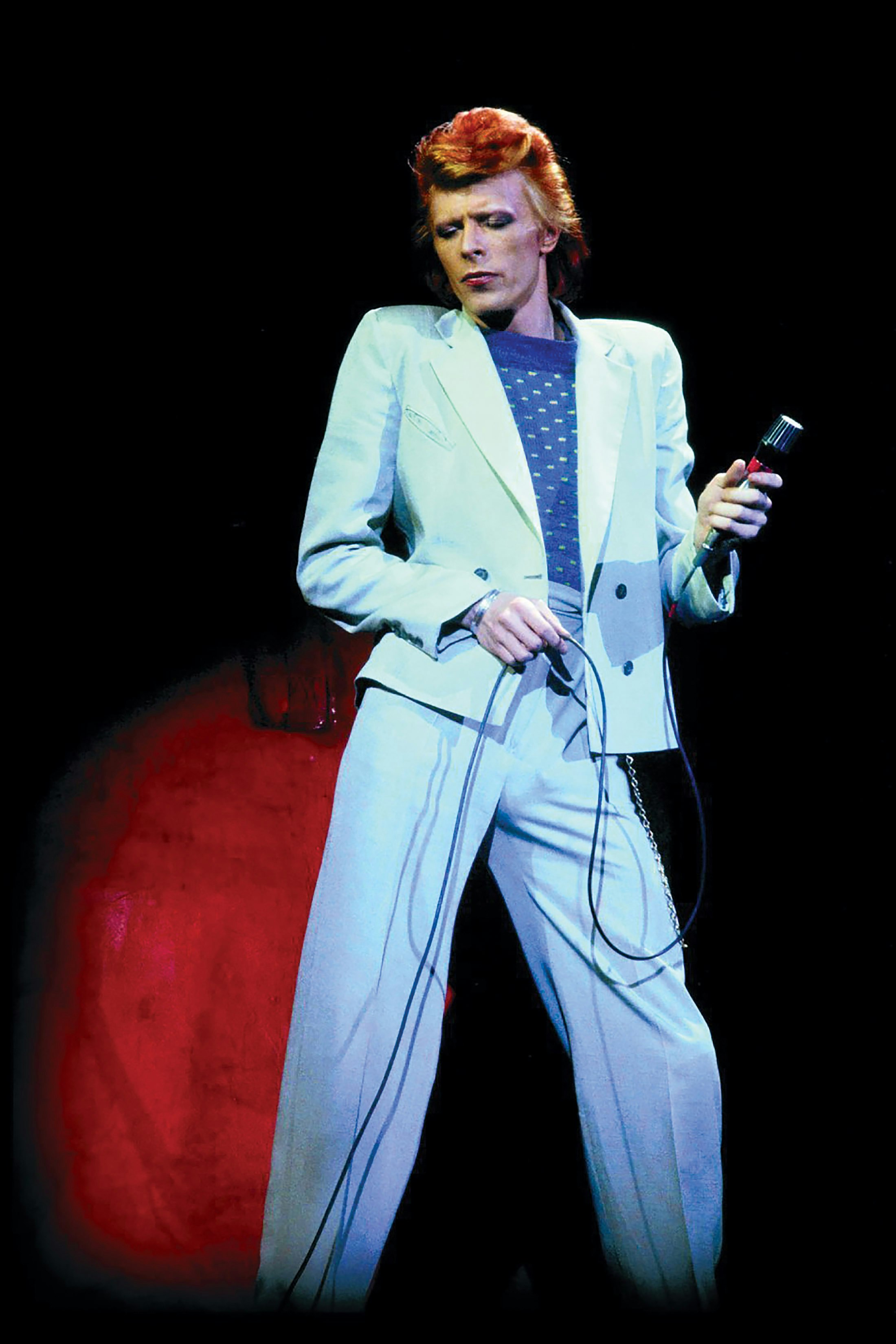 The evolution of David Bowie. Photo from David Live.
